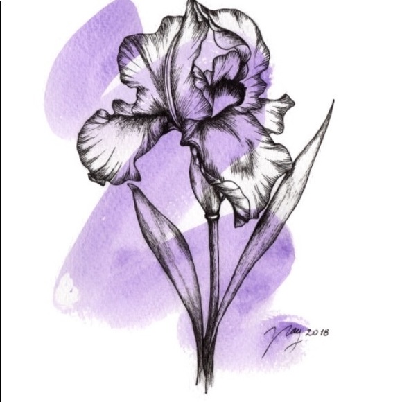 Meet your Posher, Iris - Picture 1 of 1